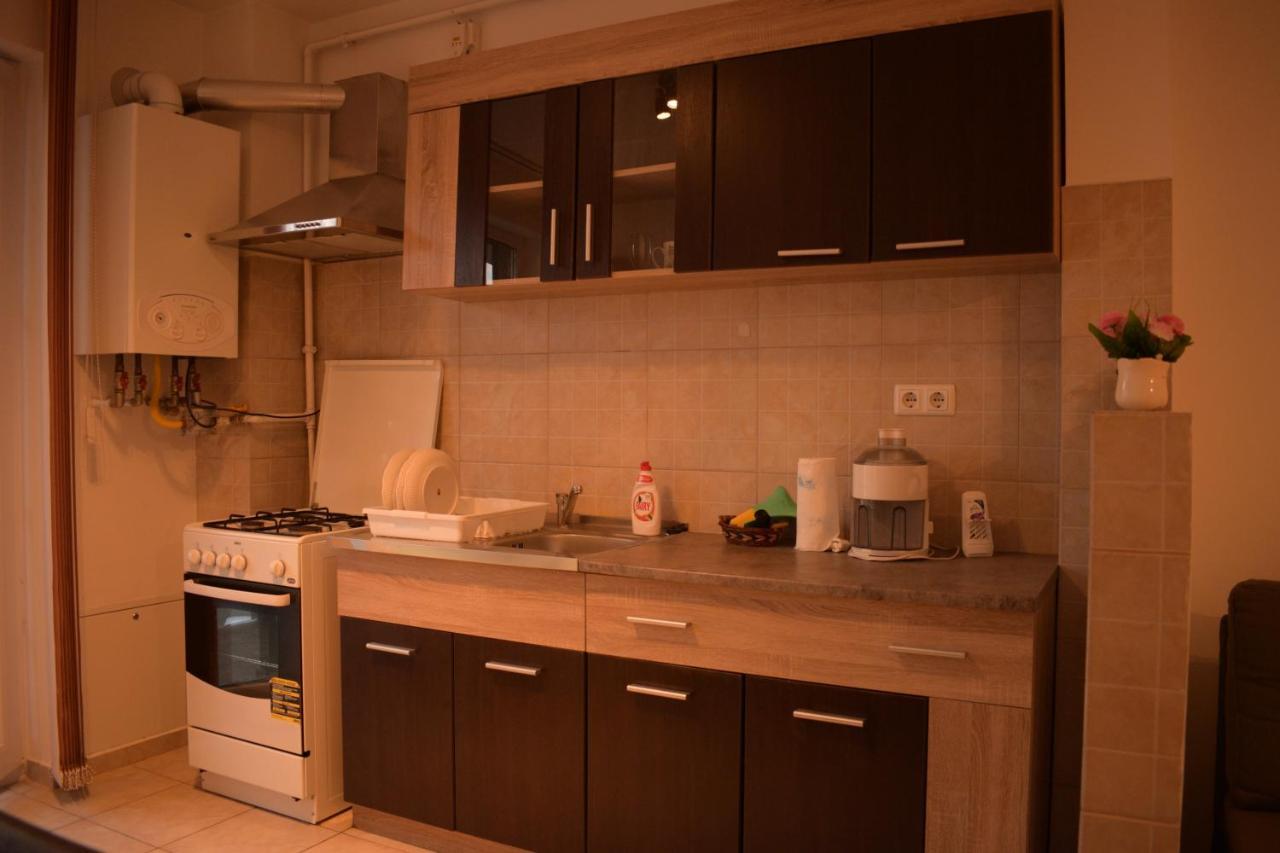 Apartament Alexandru Appartement Sibiu Buitenkant foto